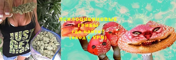 spice Верея