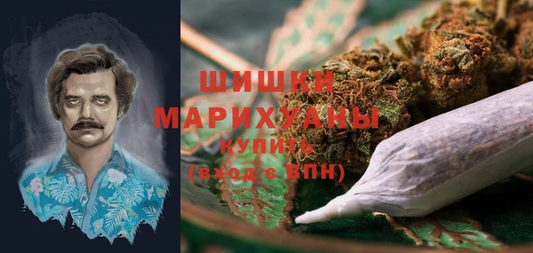 spice Верея