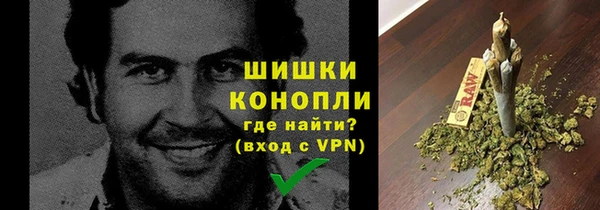 spice Верея