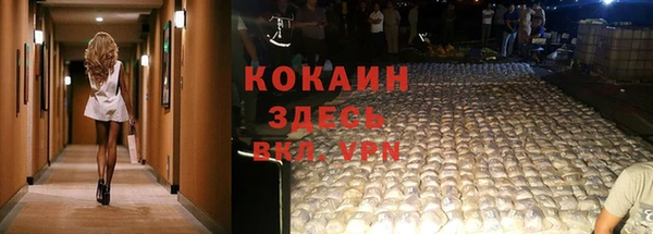 spice Верея